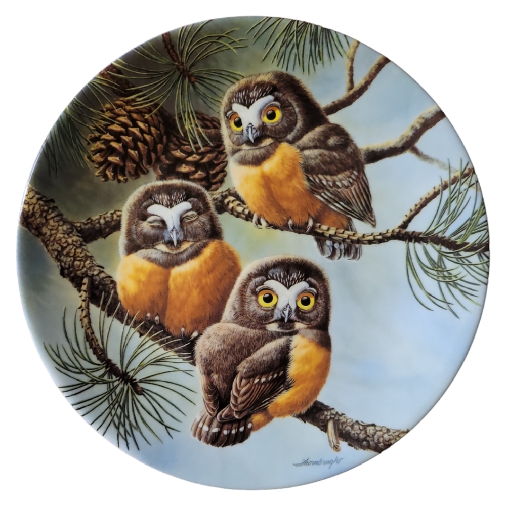 Vtg Plate 40 Winks:Saw-Whet-Owls Joe Thornbrugh #10711A